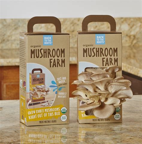 Browse ebay for magic mushroom grow kits